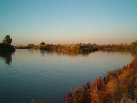 Desembocadura del Genil en el Guadalquivir